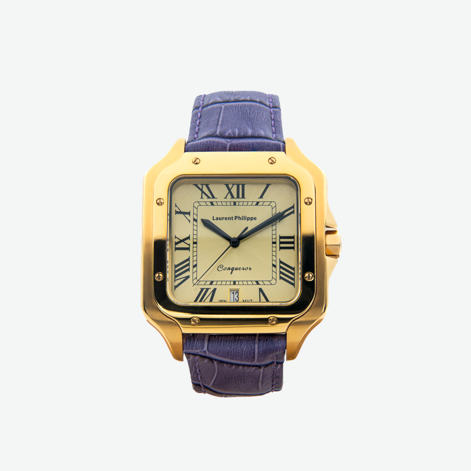 conqueror-the-golden-eye-orchidee-nocturne